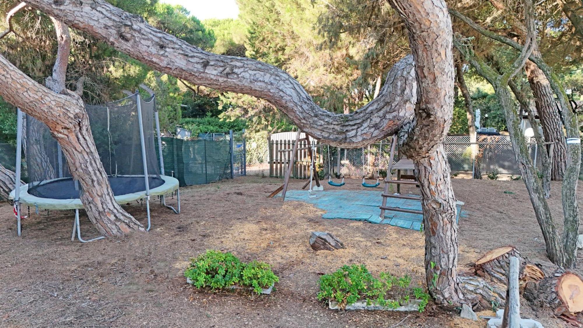 Hotel Paradiso Verde Marina Di Bibbona Dış mekan fotoğraf