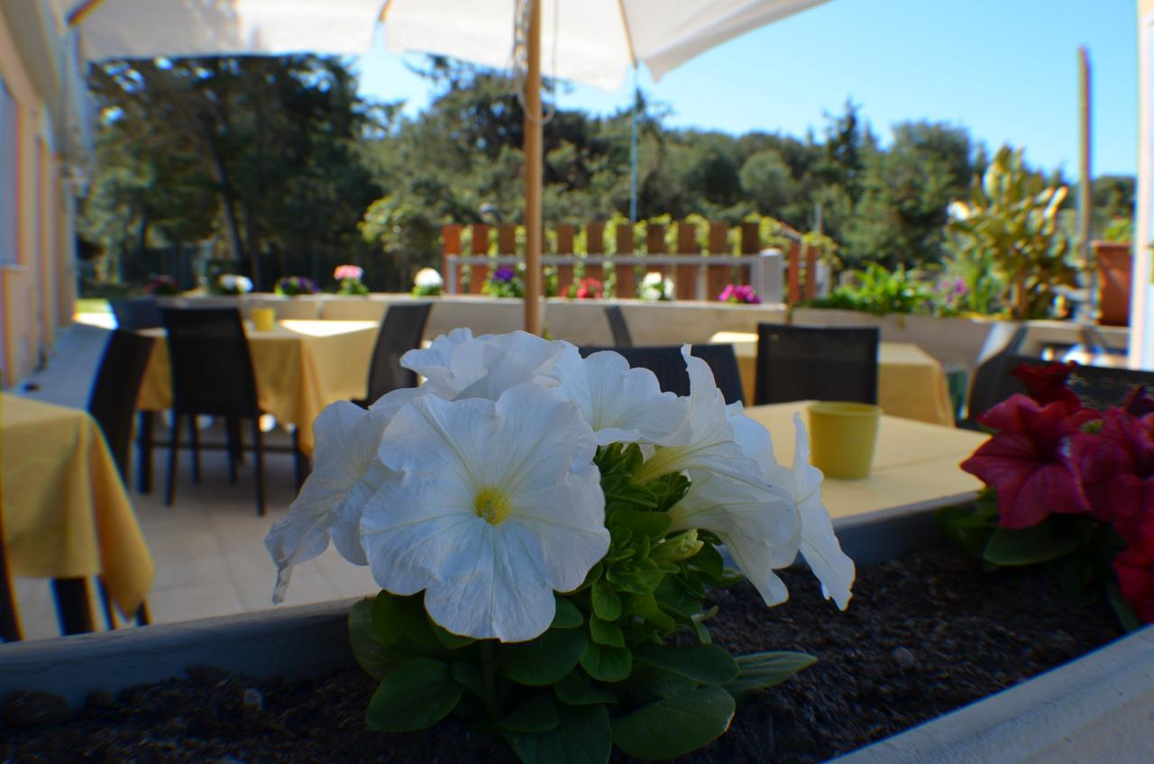 Hotel Paradiso Verde Marina Di Bibbona Dış mekan fotoğraf