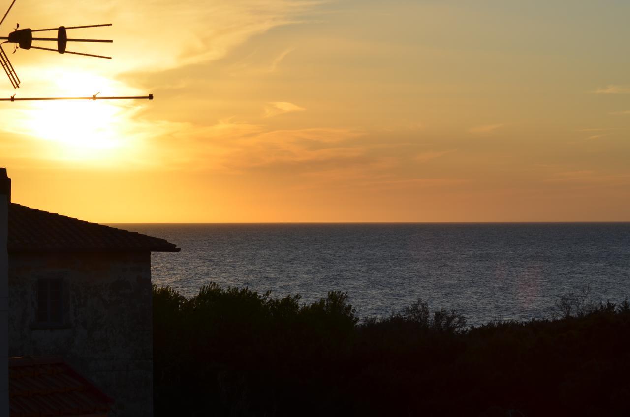 Hotel Paradiso Verde Marina Di Bibbona Dış mekan fotoğraf